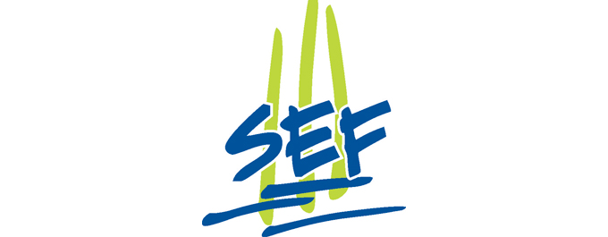 logo SEF 4 couleurs sans texte